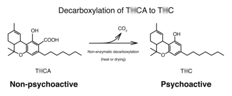 decarboxylation of THCA to THC
