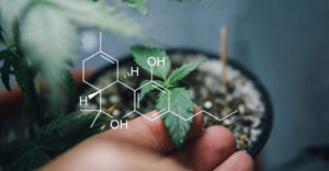 active chemical compounds that bind to cannabinoid receptors