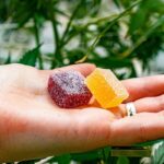 marijuana infused gummies