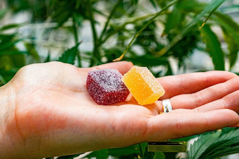 marijuana infused gummies