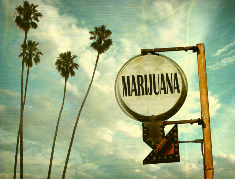 california marijuana siezed