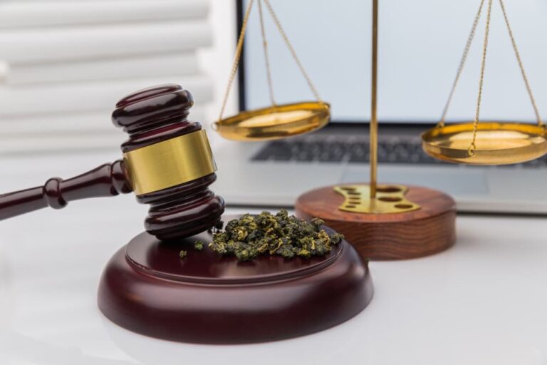 Cannabis Sales Permits to People with Pot Convictions