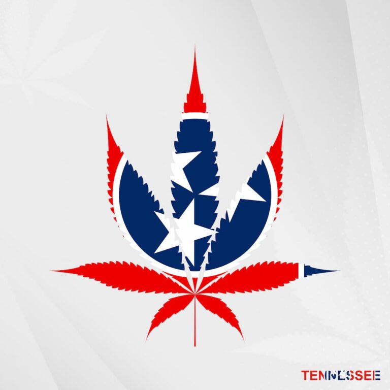tennessee cannabis news