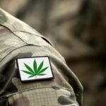 ukraine war cannabis