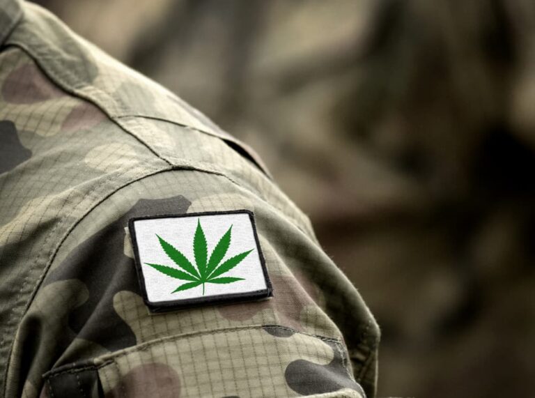 ukraine war cannabis