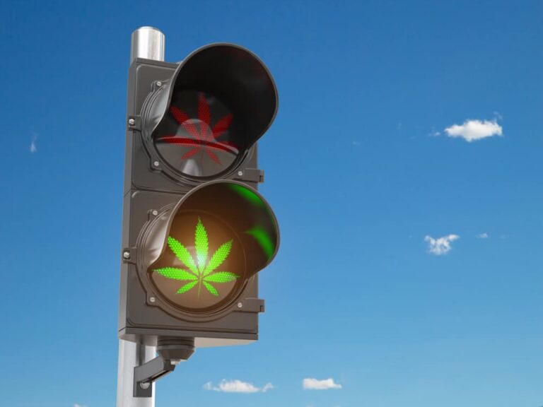 cannabis-green-light