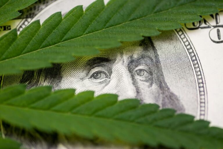 legal-cannabis-sales