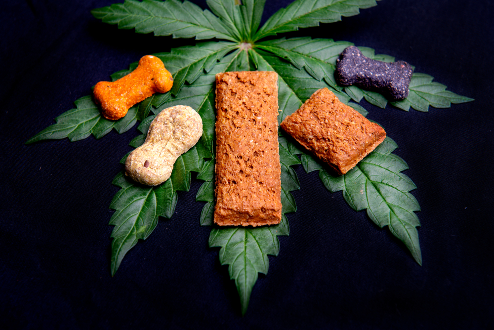 CBD Dog Treats