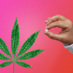 Cannabis as medication