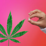 Cannabis as medication