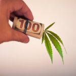 cannabis financial landscape