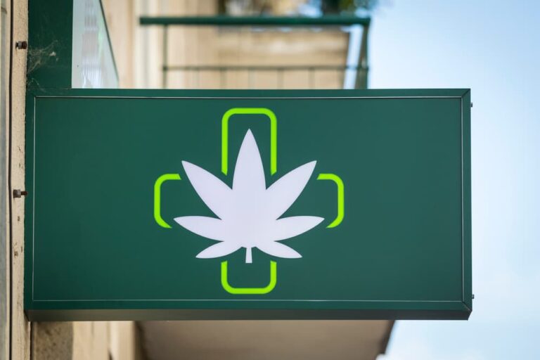 florida cannabis dispensaries