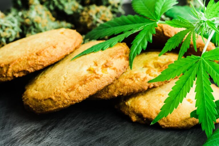 cannabis oil cookies