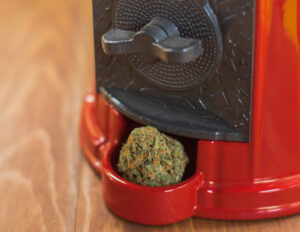 cannabis in gumball machine