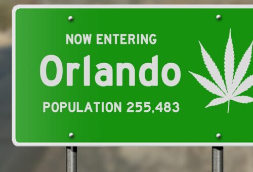 florida cannabis laws