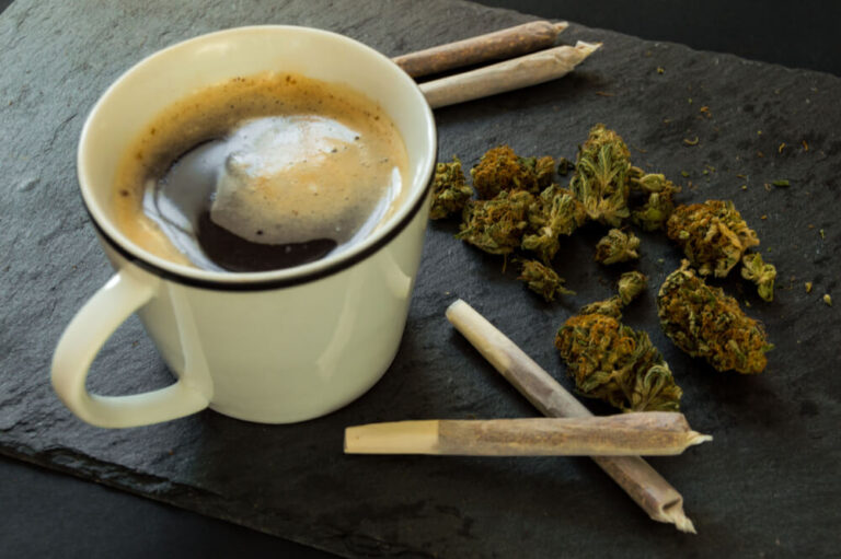 MA gov clears way for cannabis cafés