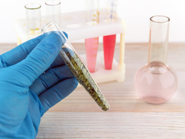 Study Suggests Legal Weed May Reduce Use of Synthetics