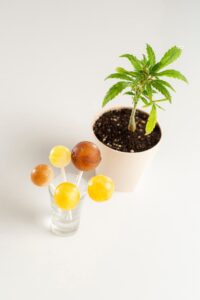 CBD-infused lollipops