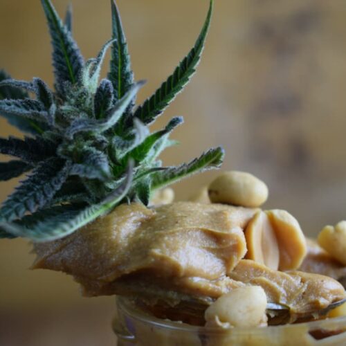 Cannabis-infused peanutbutter