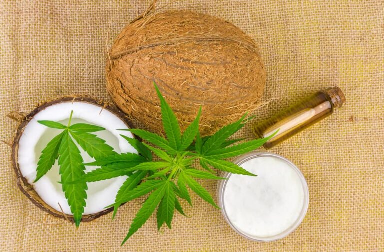 cannabis infused coconut oil