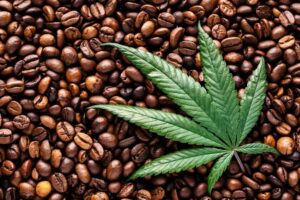 making coffee with cannabis