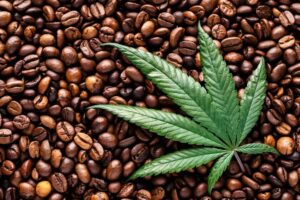 making coffee with cannabis