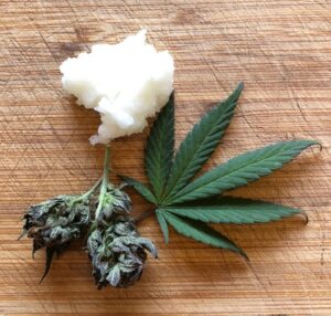 marijuana-infused coconut oil