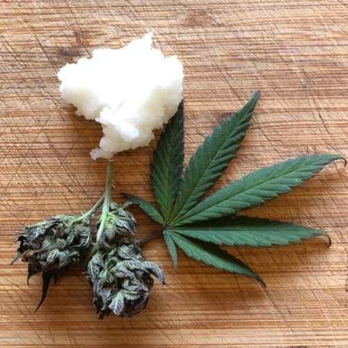 marijuana-infused coconut oil