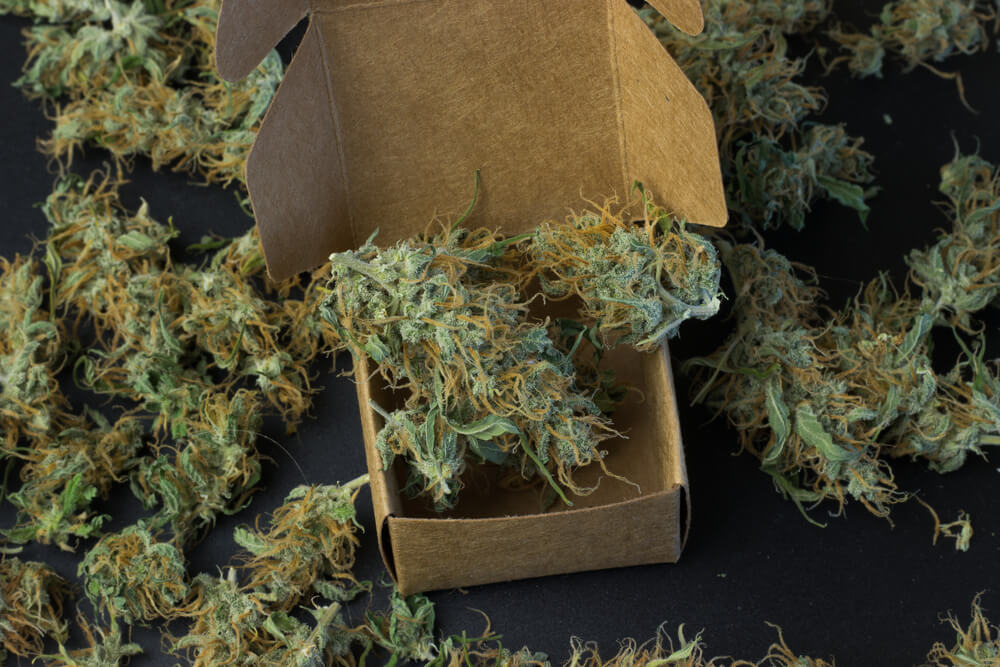 Reliance on prescriptions declines as Cannabis legalization grows