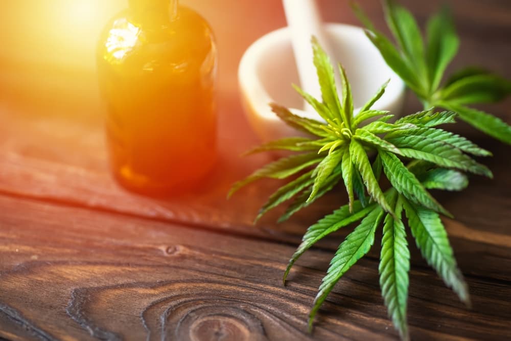 cannabutter-digest-what-is-reefer-the-cannabis-dictionary-by