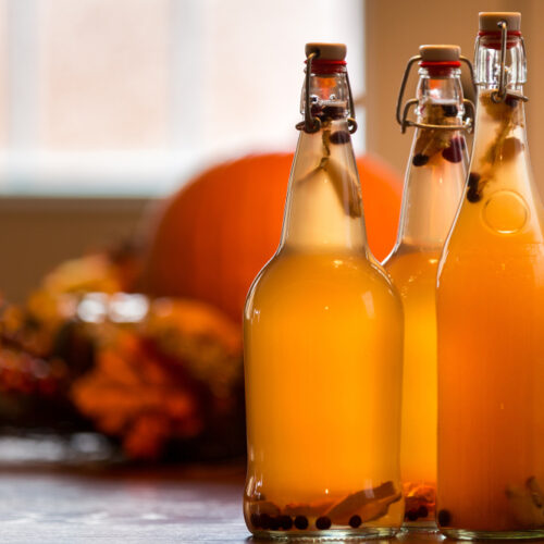homemade infused kombucha