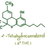 delta 9 thc
