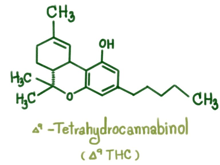 delta 9 thc