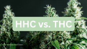 hhc vs. thc