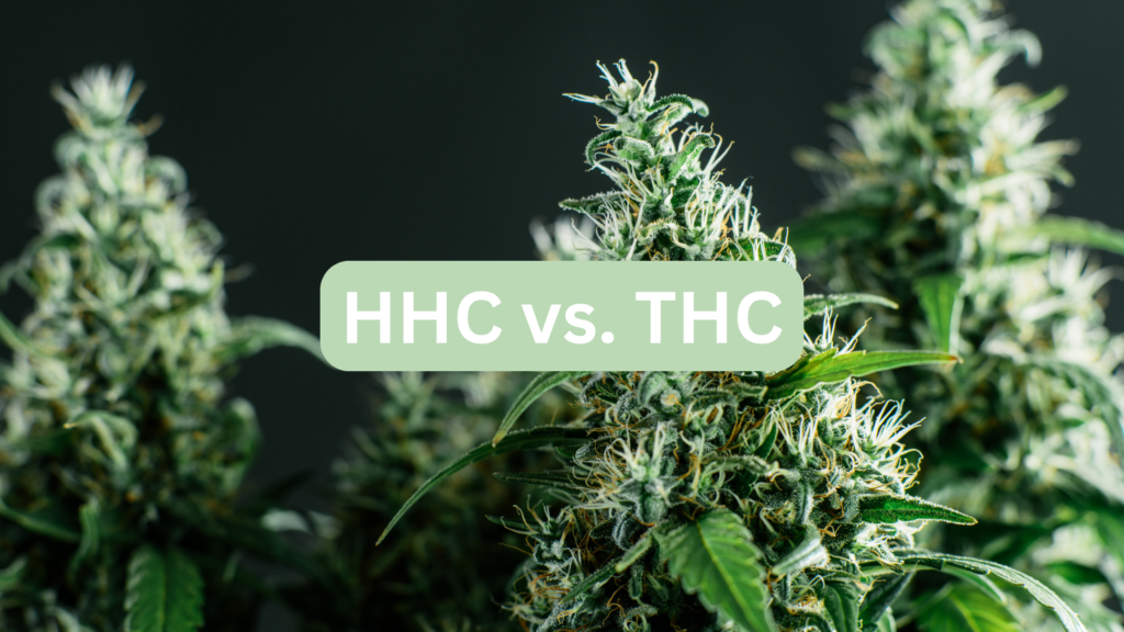 HHC vs. THC What’s the Difference? Cannabutter Digest
