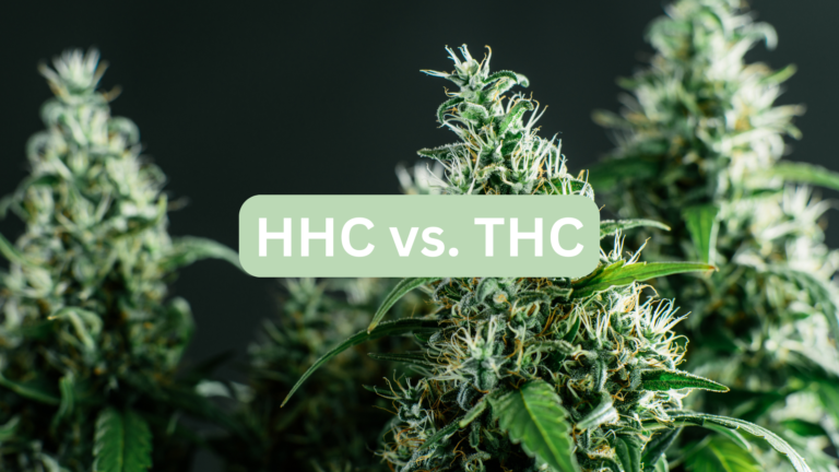 thc vs hhc