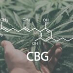 benefits of cbg oil