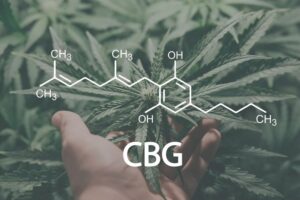 benefits of cbg oil