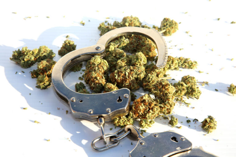 North Carolina Senate Considers Legalizing Recreational Marijuana 