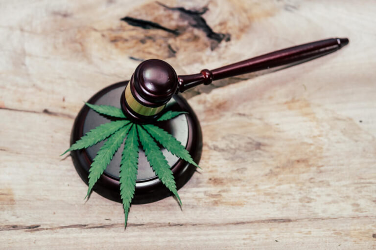 Minnesota Lawmakers Meet to Discuss Recreational Cannabis Legalization