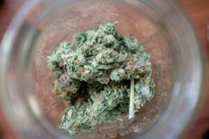 cannabis in mason jar