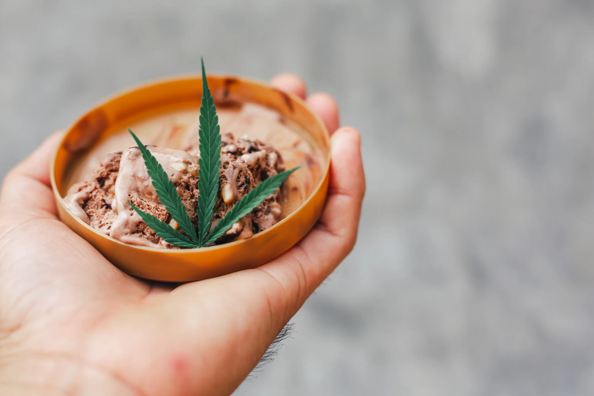 CannaButter Digest How to Make Homemade Weed Icecream | CannaButter Digest