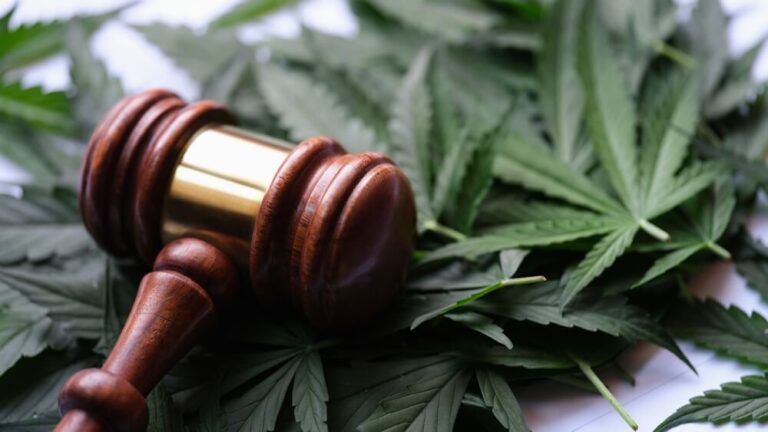 German Cabinet OKs Plan to Relax Marijuana Laws