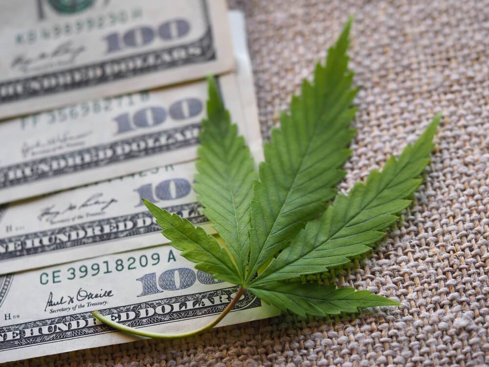 Minnesota Approves $67 Million Investment in Local Cannabis Cultivation and Manufacturing