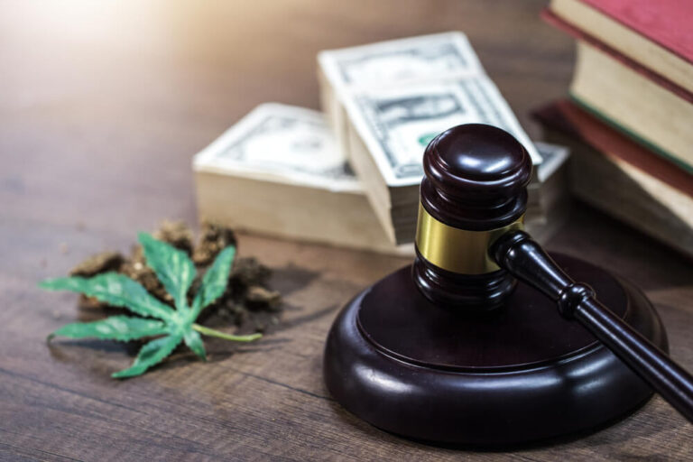 New Mexico's CCD Considers Fee Amendments for Cannabis Licenses